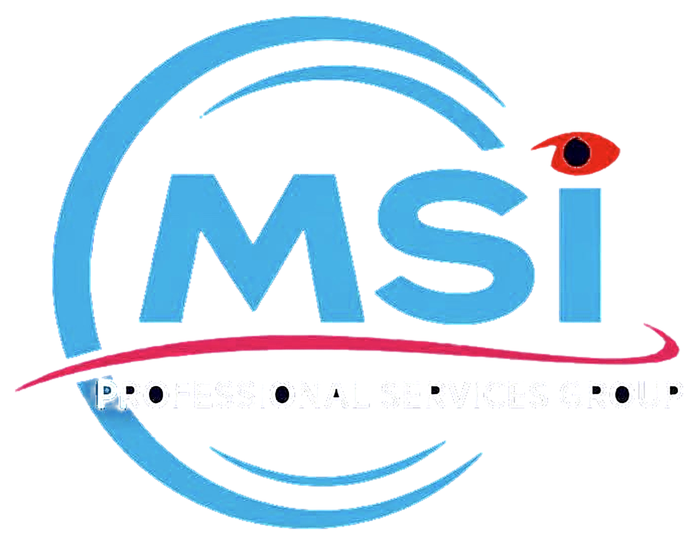 MSi Professional Services Group